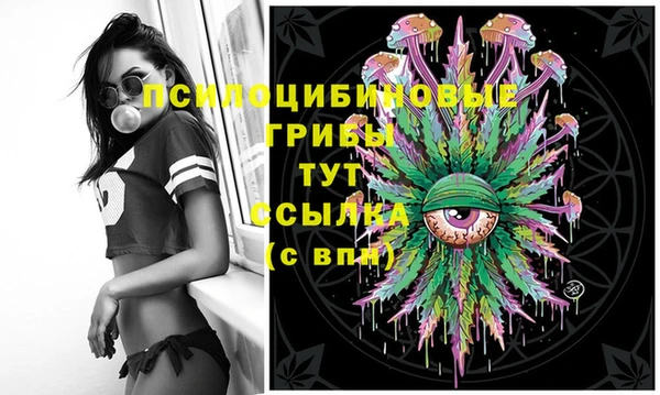 первитин Козельск
