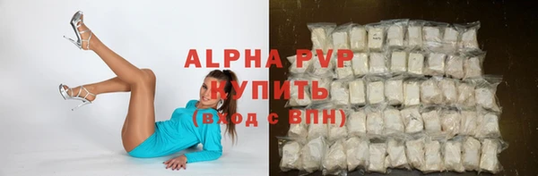 крисы Козловка