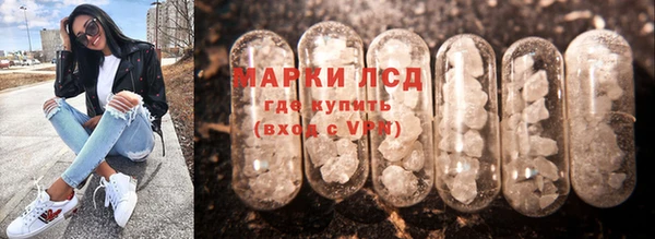 крисы Козловка