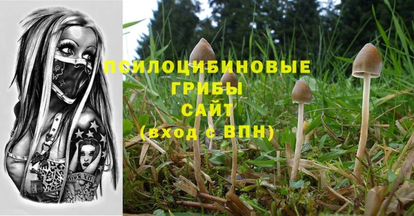 первитин Козельск