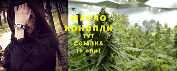 крисы Козловка
