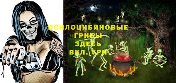 первитин Козельск